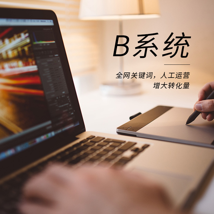 B系統.jpg